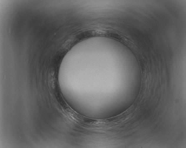 X0000060750223200511100946