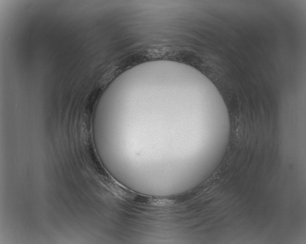 X0000060750226200511100946