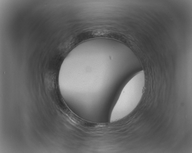 X0000060750227200511100946