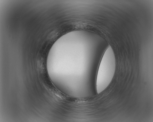 X0000060750228200511100946