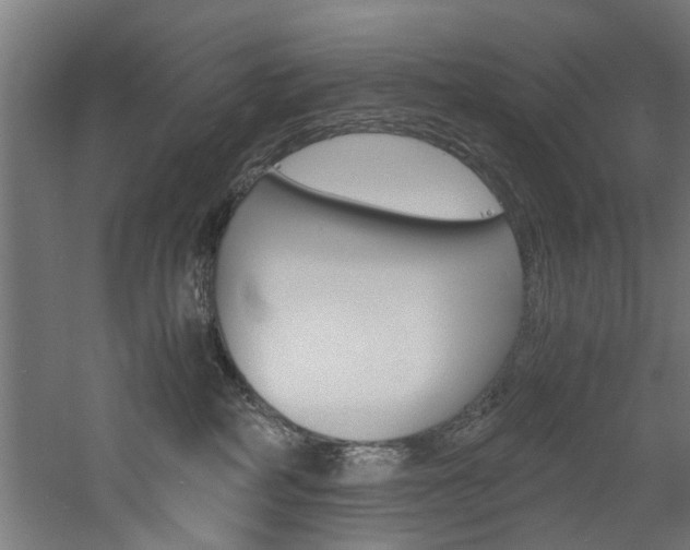 X0000060750234200511100946