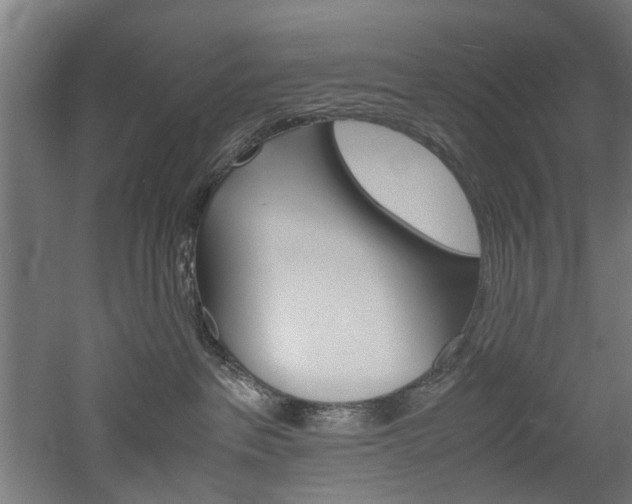 X0000060750237200511100946