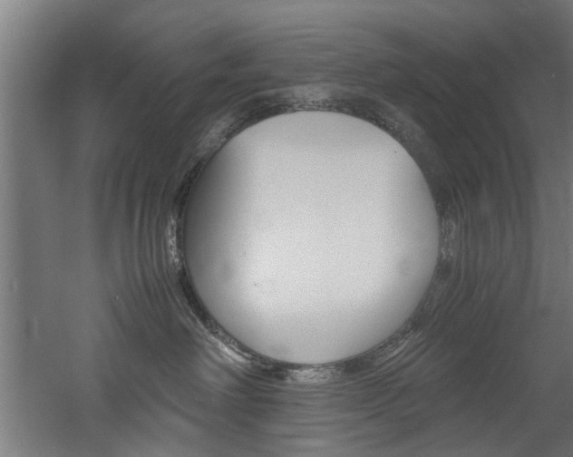 X0000060750238200511100946