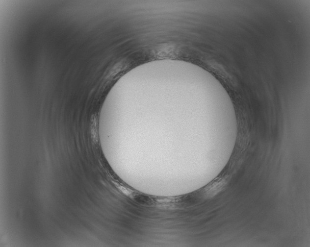 X0000060750240200511100946