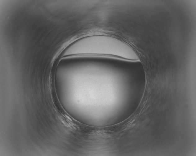 X0000060750244200511100945