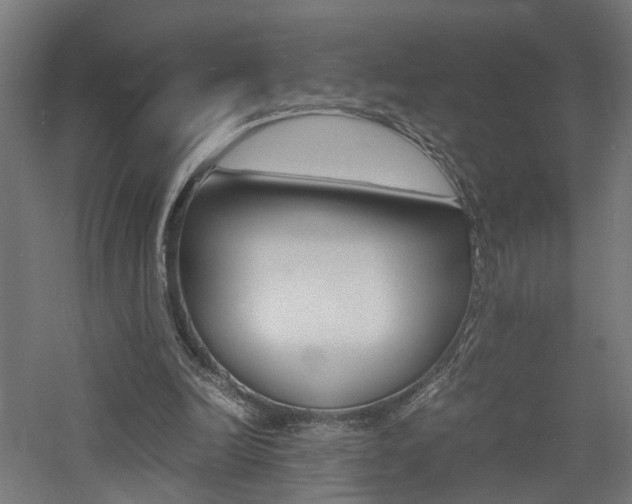 X0000060750246200511100945