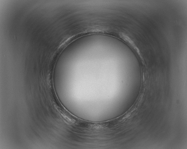 X0000060750249200511100945