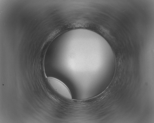 X0000060750250200511100945
