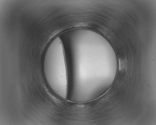 X0000060750253200511100945