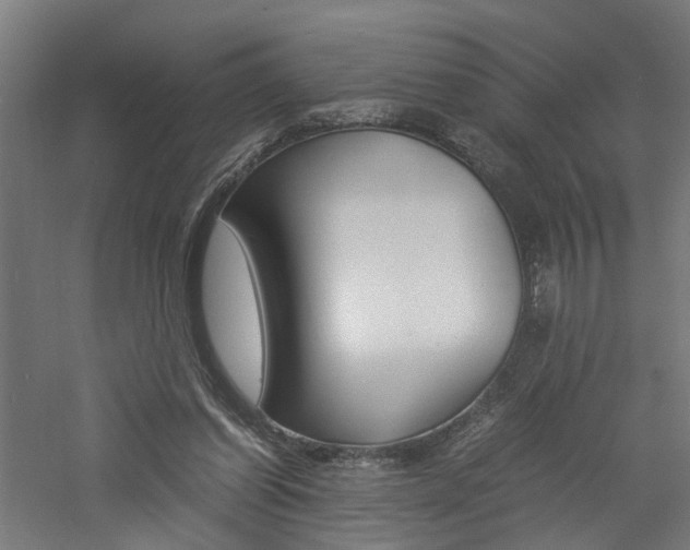 X0000060750254200511100945