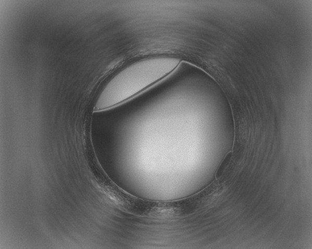 X0000060750260200511100945
