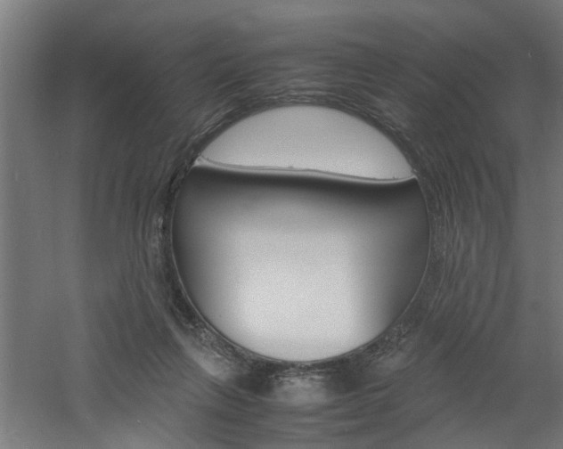 X0000060750263200511100945