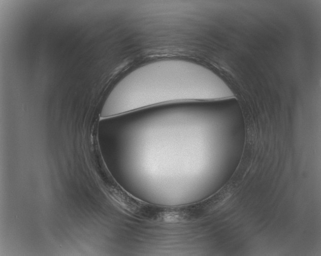X0000060750264200511100945