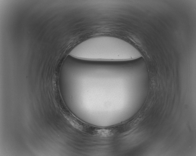 X0000060750265200511100945