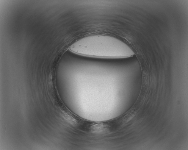 X0000060750269200511100945
