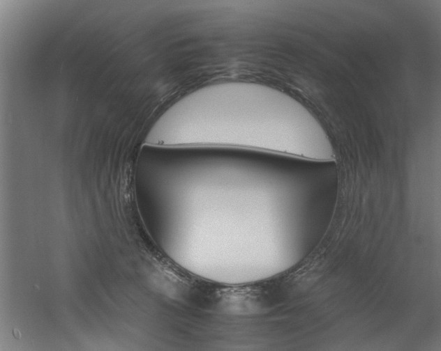 X0000060750273200511100945