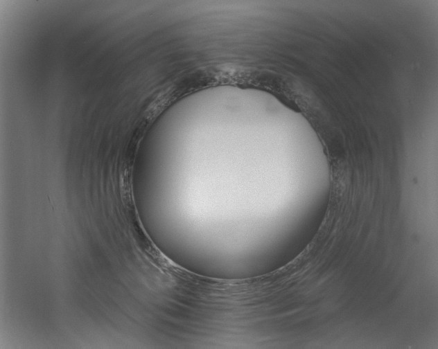 X0000060750276200511100946