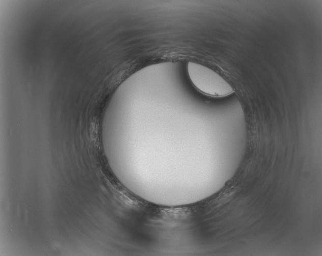 X0000060750281200511100946