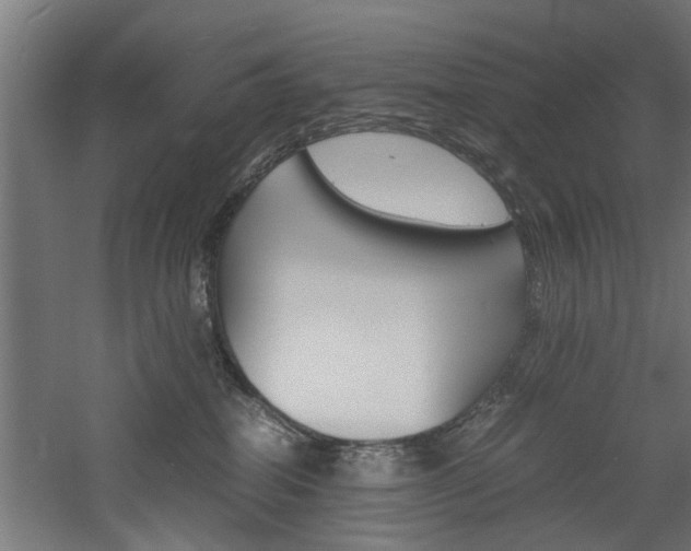 X0000060750282200511100946