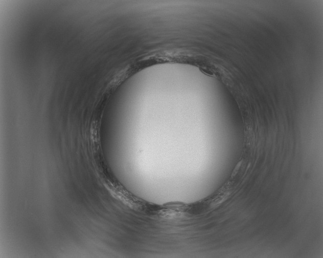 X0000060750284200511100946