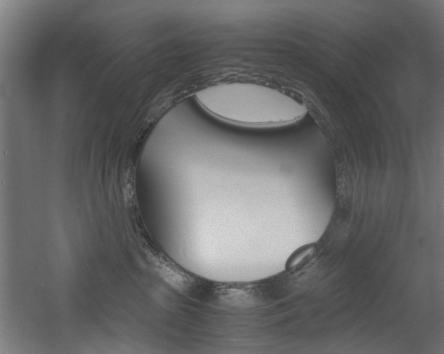 X0000060750285200511100946