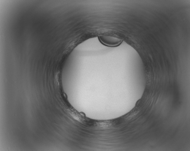 X0000060750286200511100946