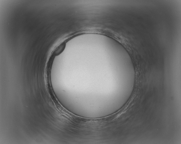 X0000060750294200511100945