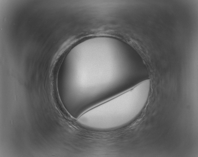 X0000060750295200511100945