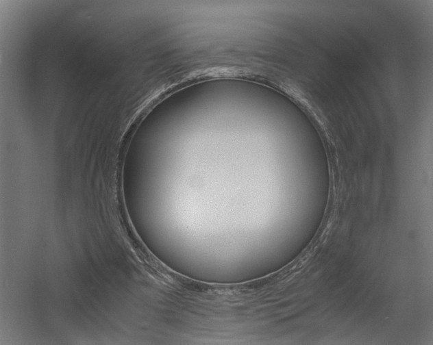 X0000060750297200511100945