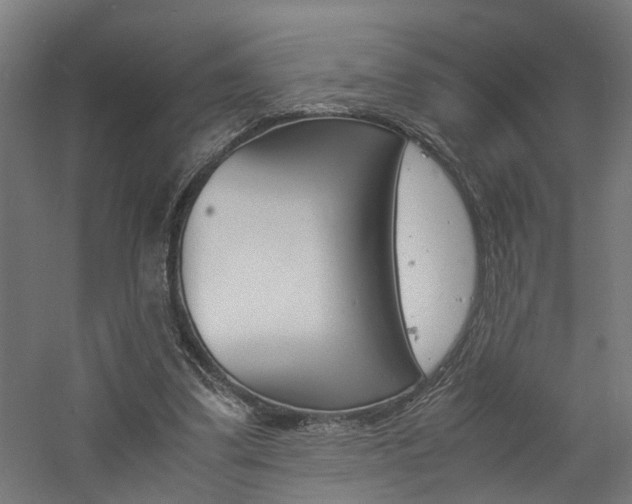 X0000060750299200511100945