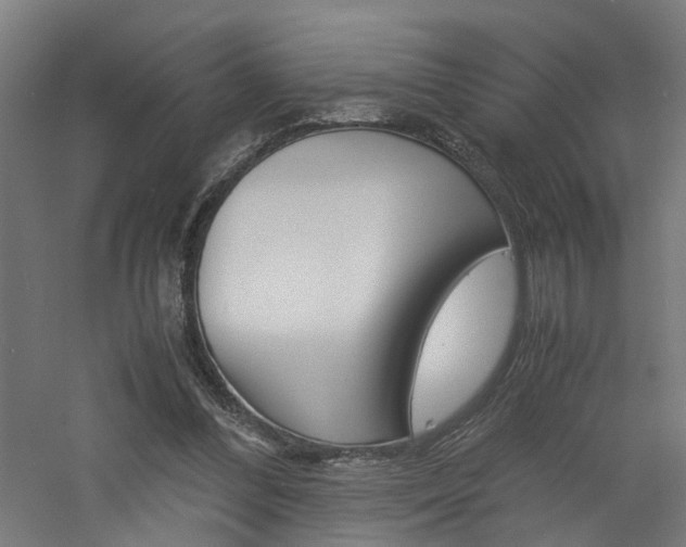 X0000060750300200511100945