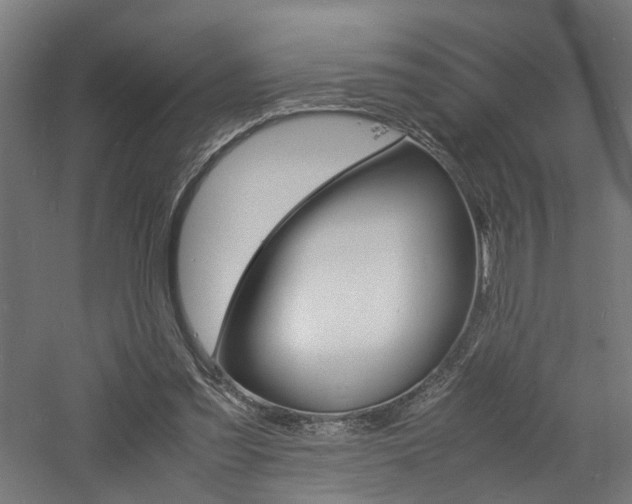 X0000060750301200511100945