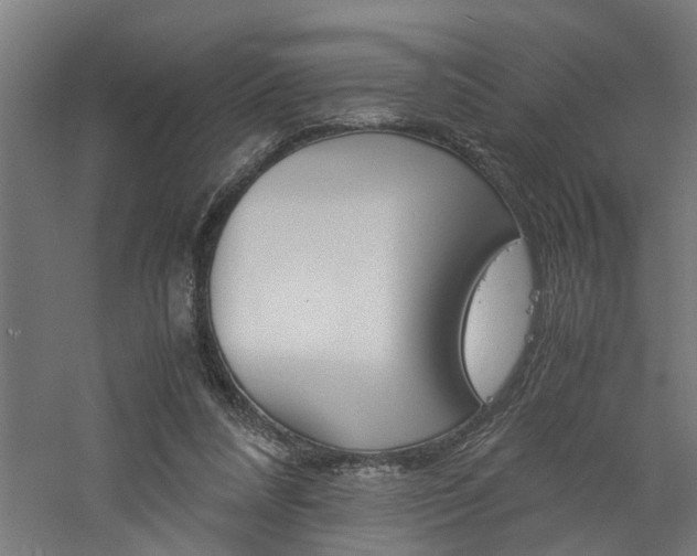 X0000060750304200511100945
