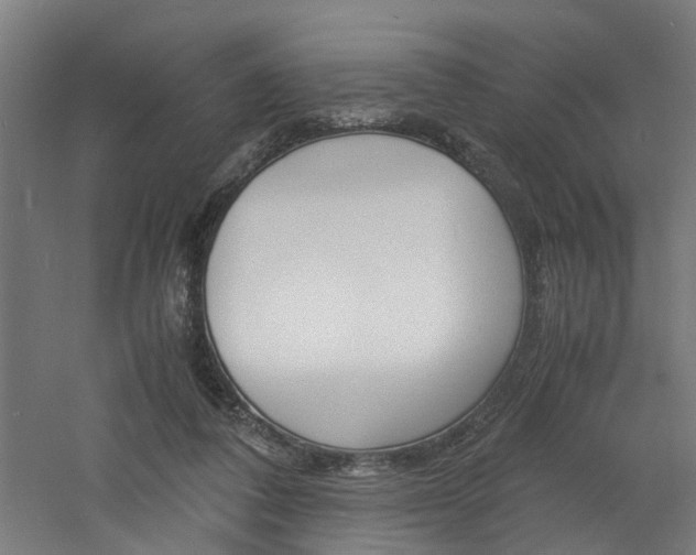 X0000060750308200511100945
