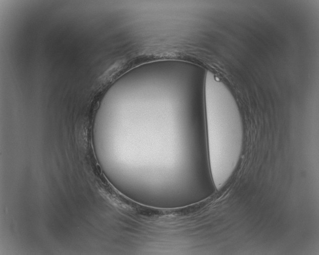 X0000060750309200511100945