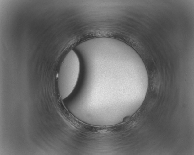 X0000060750310200511100945