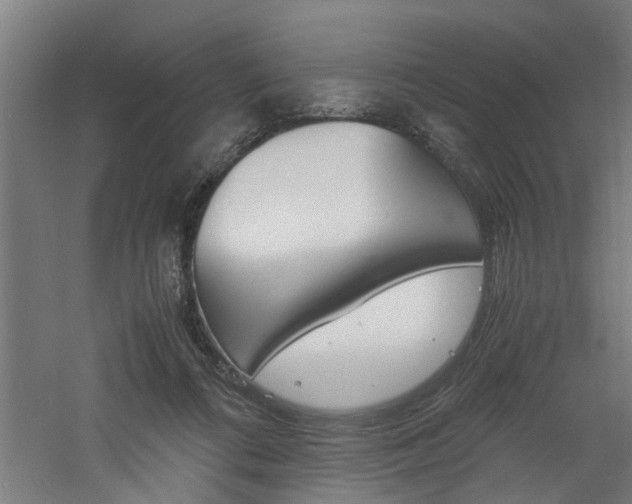 X0000060750312200511100945