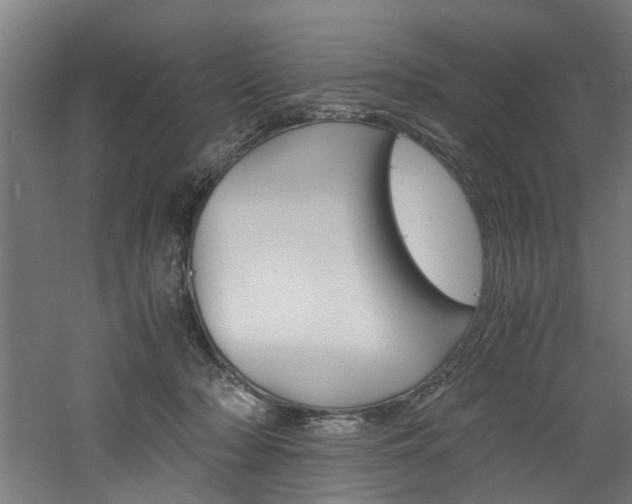 X0000060750318200511100944