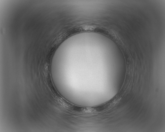 X0000060750321200511100944