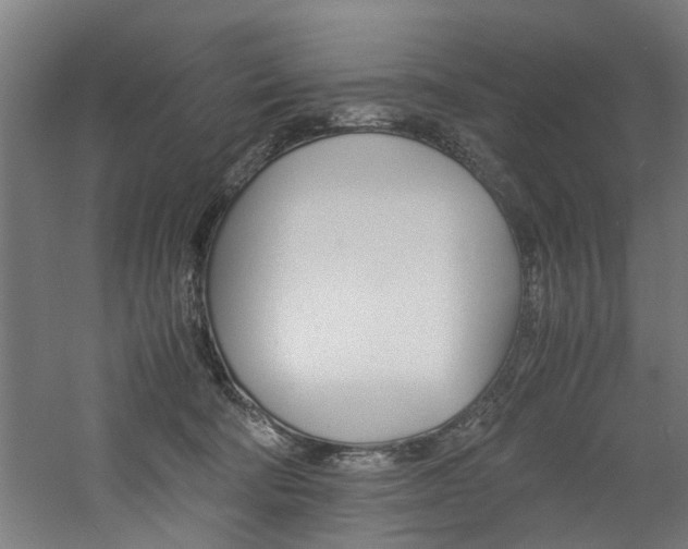 X0000060750322200511100944