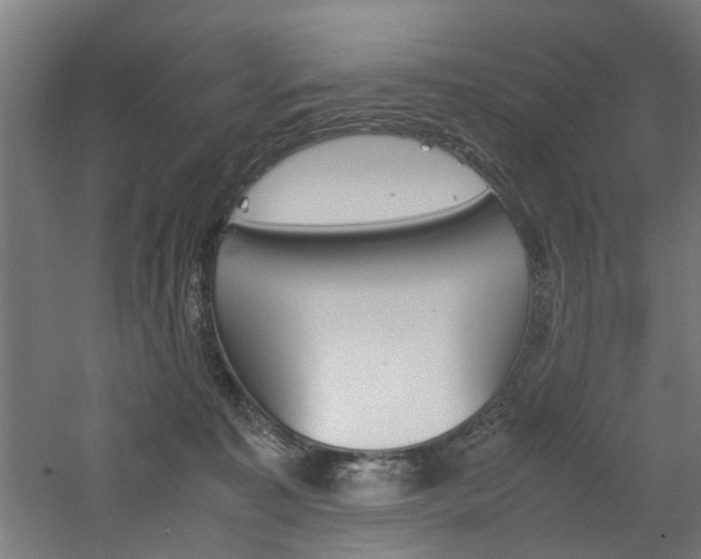 X0000060750323200511100944