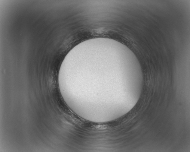X0000060750324200511100944