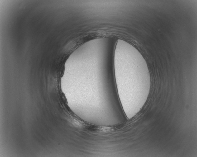 X0000060750333200511100944