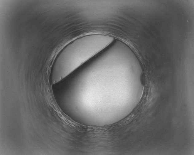X0000060750337200511100943