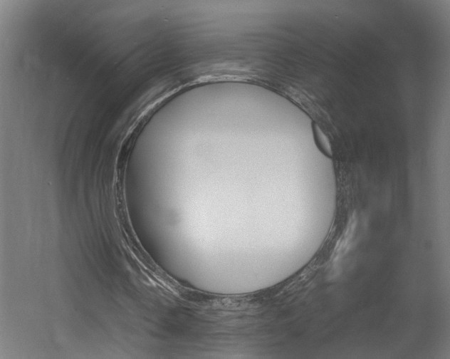 X0000060750338200511100943