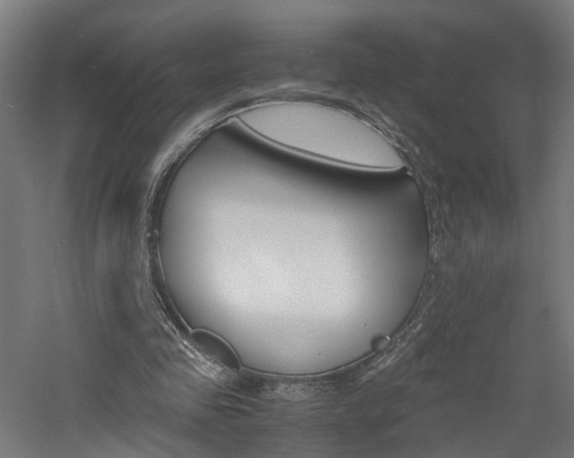 X0000060750341200511100943