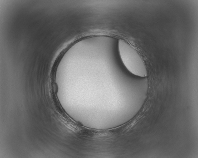 X0000060750342200511100943