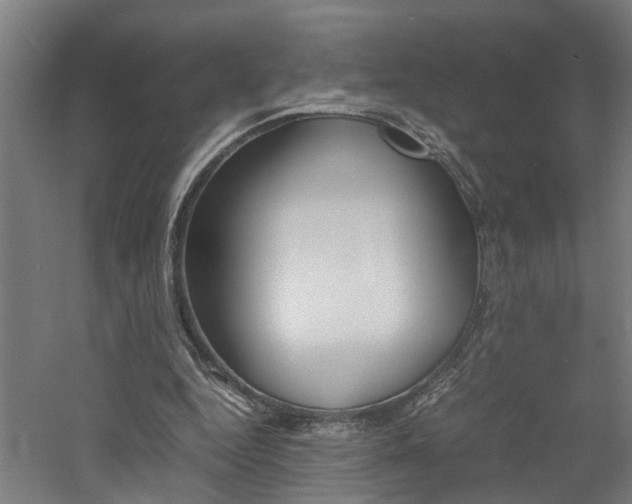 X0000060750344200511100943