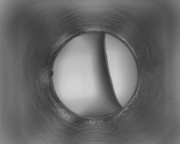 X0000060750345200511100943