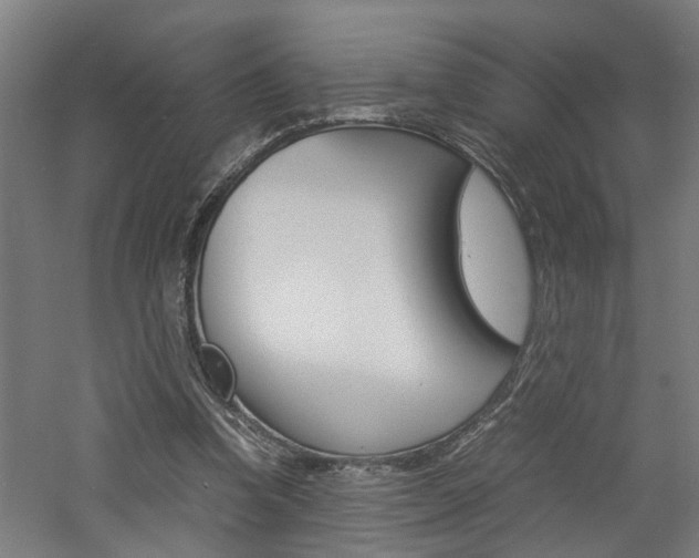 X0000060750346200511100943